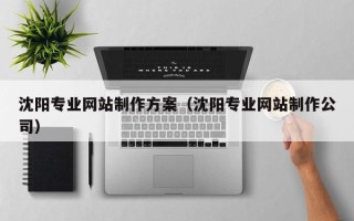 清远沈阳专业网站制作方案（沈阳专业网站制作公司）